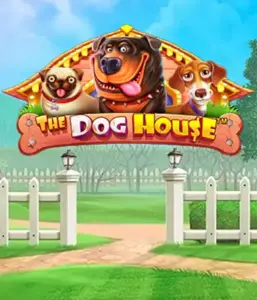 От Pragmatic Play представлен приключении The Dog House, предлагающий прекрасное путешествие среди любимых собак. Наслаждайтесь игровых элементах таких как бесплатные вращения, разработанных для предоставления волнующих выигрышей. Идеально подходит для энтузиастов животных веселую обстановку наряду с щедрыми наградами.