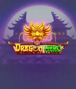 Отправьтесь в мифическое приключение с Dragon Hero от Pragmatic Play, освещающей захватывающую графику древних драконов и эпических столкновений. Погрузитесь в мир, где магия встречается с триллом, с символами вроде сокровищ, мистических существ и зачарованных оружий для захватывающего слот-опыта.