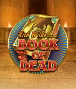 Войдите в захватывающий мир слота Book of Dead от Play'n GO, демонстрирующий яркую графику приключений Рича Уайлда по древнеегипетским гробницам и артефактам. Откройте затерянные богатства с пленяющими механиками, такими как бесплатные вращения, расширяющиеся символы и возможность игры на риск. Идеально для исследователей, желающих раскопок секретов.